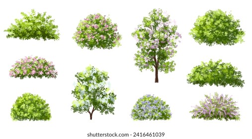 Vector watercolor blooming flower tree or forest side view isolated on white background for landscape and architecture drawing,elements for environment or and garden,shrub for section ,Set of floral,b