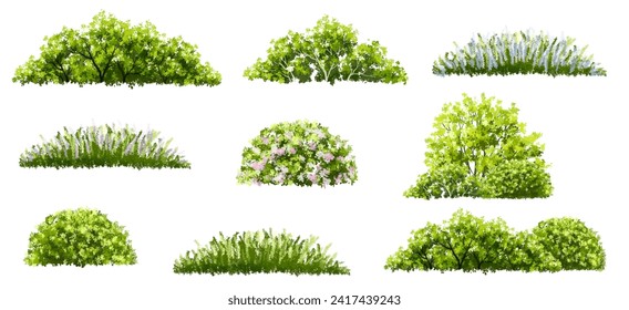 Vector watercolor blooming flower tree or forest side view isolated on white background for landscape and architecture drawing,elements for environment or and garden,shrub for section ,Set of floral,b