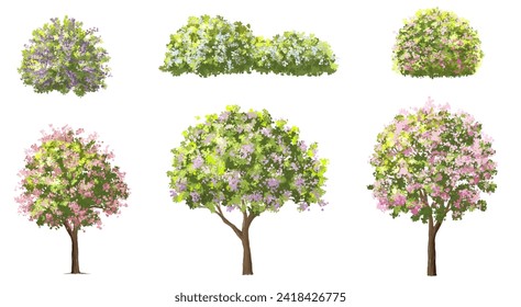 Vector watercolor blooming flower tree or forest side view isolated on white background for landscape and architecture drawing,elements for environment or and garden,shrub for section ,Set of floral