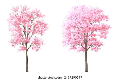 Vector acuarela flor flor árbol o vista lateral del bosque aislado en fondo blanco para el paisaje y el dibujo arquitectónico, elementos para el medio ambiente o el jardín, árbol Sakura para sección ,Conjunto de fletos