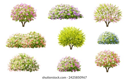 Vector watercolor blooming flower tree or forest side view isolated on white background for landscape and architecture drawing,elements for environment or and garden,shrub for section ,Set of floral