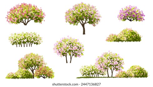 Vector acuarela flor floreciente árbol o vista lateral del bosque aislado en fondo blanco para el dibujo del paisaje y de la arquitectura, Elementos para el medio ambiente o y el jardín, arbusto para la sección, conjunto de flores