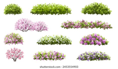 Vector acuarela flor floreciente árbol o vista lateral del bosque aislado en fondo blanco para el dibujo del paisaje y de la arquitectura, Elementos para el medio ambiente o y el jardín, arbusto para la sección, conjunto de flores