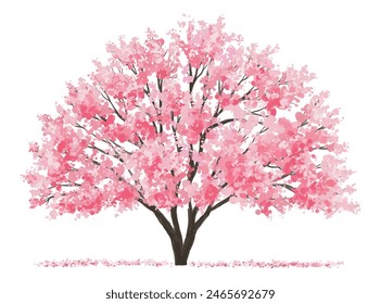  Vector watercolor blooming flower tree or forest side view isolated on white background for landscape and architecture drawing,elements for environment or and garden,Sakura tree for section 