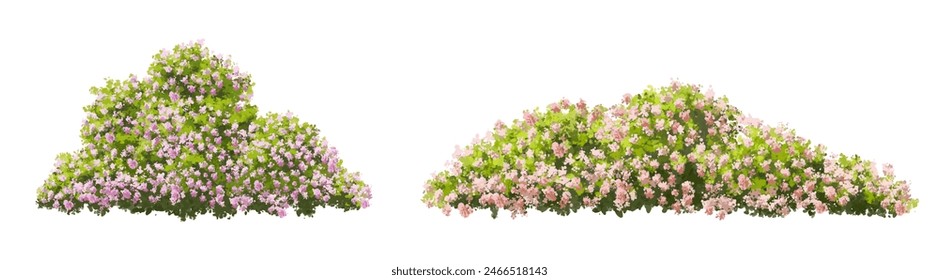 Vector watercolor blooming flower tree or forest side view isolated on white background for landscape and architecture drawing,elements for environment or and garden,shrub for section ,Set of floral