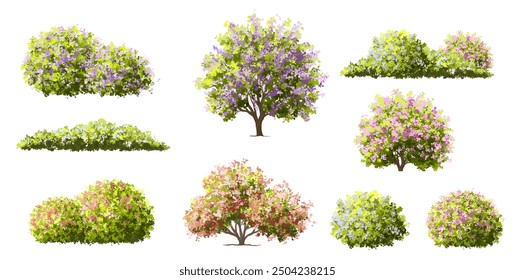  Vector watercolor blooming flower tree or forest side view isolated on white background for landscape and architecture drawing,elements for environment or and garden,Sakura tree for section ,Set of f