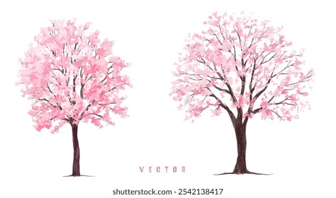  Vektor Aquarell blühende Blume Baum oder Wald Seitenansicht einzeln auf weißem Hintergrund für Landschaft und Architektur Zeichnung, Elemente für Umwelt oder und Garten, Sakura Baum für Schnitt