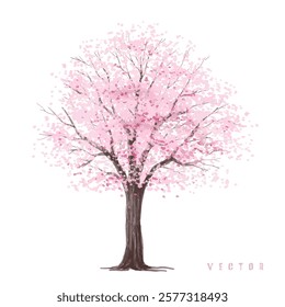  Vector watercolor blooming flower tree or forest side view isolated on white background for landscape and architecture drawing,elements for environment or and garden,Sakura tree for section