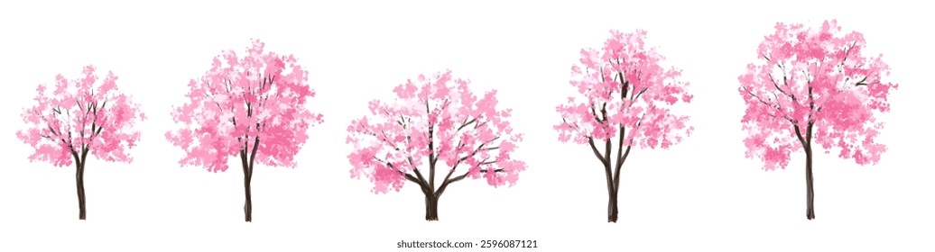  Vector watercolor blooming flower tree or forest side view isolated on white background for landscape and architecture drawing,elements for environment or and garden,Sakura tree for section