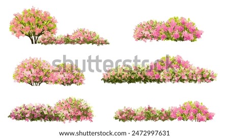 Vector watercolor blooming flower tree or forest side view isolated on white background for landscape and architecture drawing,elements for environment or and garden,shrub for section ,Set of floral