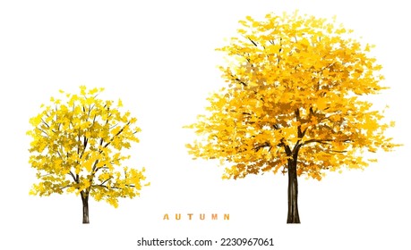 Flor floreciente de acuarela vectorial, árbol Ginkgo o vista lateral del bosque aislada en fondo blanco para el dibujo de paisajes y arquitectura, elementos para el medio ambiente