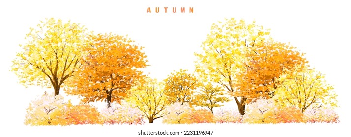 Vector watercolor blooming flower,Ginkgo tree or forest side view isolated on white background for landscape and architecture drawing,elements for environment in autumn