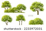 Vector watercolor blooming flower,tree or forest side view isolated on white background for landscape and architecture drawing,elements for environment and garden,botanical for section in spring