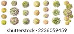 Vector watercolor blooming flower,tree or forest top view isolated on white background for landscape plan and architecture drawing,elements for environment and garden,botanical in autumn