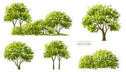 Vector Watercolor Blooming Flower,tree Or Forest Side View Isolated On White Background For Landscape And Architecture Drawing,elements For Environment And Garden,botanical For Section In Spring