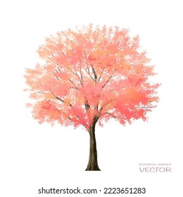 Vector watercolor blooming flower,tree or forest side view isolated on white background for landscape and architecture drawing,elements for environment and garden,botanical for section in spring 