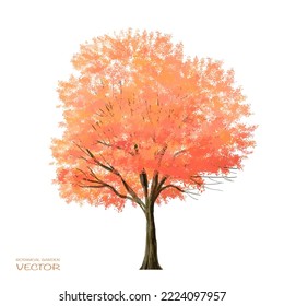 Vector watercolor blooming flower,tree or forest side view isolated on white background for landscape and architecture drawing,elements for environment and garden,botanical for section in autumn 