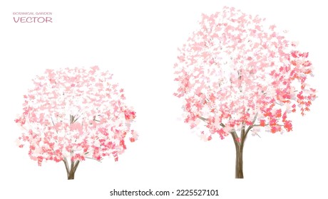 Flor floreciente de acuarela vectorial, vista lateral de árbol o bosque aislada en fondo blanco para el paisaje y el dibujo arquitectónico, elementos para el medio ambiente y el jardín, botánico para sección en primavera 