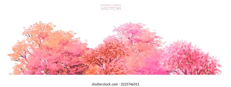 Vector watercolor blooming flower,tree or forest side view isolated on white background for landscape and architecture drawing,elements for environment and garden,botanical for section in spring 