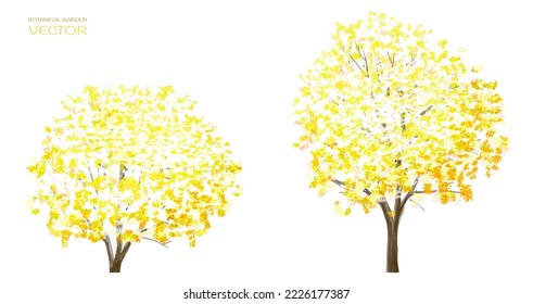 Vector watercolor blooming flower,tree or forest side view isolated on white background for landscape and architecture drawing,elements for environment and garden,botanical for section in autumn