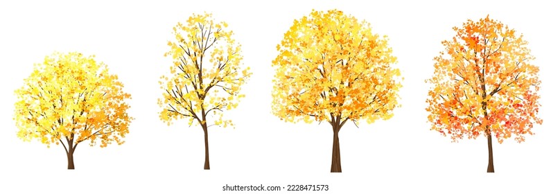 Vector watercolor blooming flower,tree or forest side view isolated on white background for landscape and architecture drawing,elements for environment and garden,botanical for section in autumn