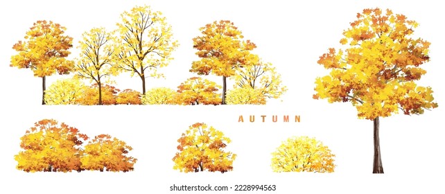 Vector watercolor blooming flower,tree or forest side view isolated on white background for landscape and architecture drawing,elements for environment and garden,botanical for section in autumn