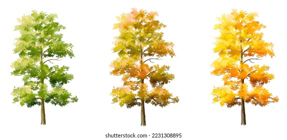Vector watercolor blooming flower,tree or forest side view isolated on white background for landscape and architecture drawing,elements for environment and garden,botanical for section in autumn 