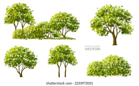 Vector watercolor blooming flower,tree or forest side view isolated on white background for landscape and architecture drawing,elements for environment and garden,botanical for section in spring