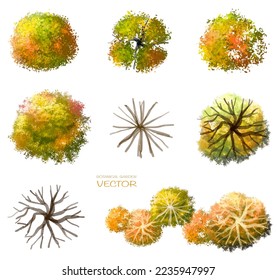 Vector watercolor blooming flower,tree or forest top view isolated on white background for landscape plan and architecture drawing,elements for environment and garden,botanical in autumn