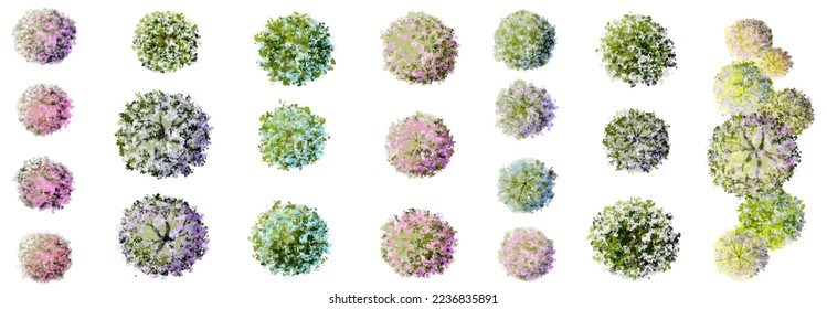 Flor floreciente de acuarela vectorial, vista de árbol o bosque aislada en fondo blanco para el plano paisajístico y arquitectura, elementos para el medio ambiente y el jardín, botánico en primavera 