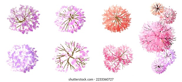 Vector watercolor blooming flower,tree or grass top view isolated on white background for landscape plan and architecture drawing,elements for environment and garden,botanical in spring