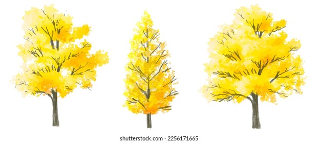 Vector watercolor blooming ginkgo tree side view isolated on white background for landscape and architecture drawing, elements for environment and garden,botanical elements for section in autumn