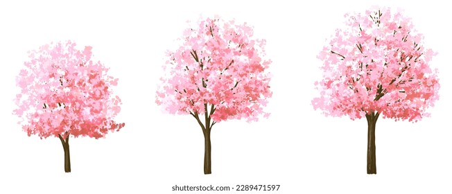 Florecimiento de la acuarela vectorial Vista lateral del árbol Sakura aislada en fondo blanco para el paisaje y el dibujo arquitectónico, elementos para el medio ambiente y el jardín, elementos botánicos para sección en primavera 