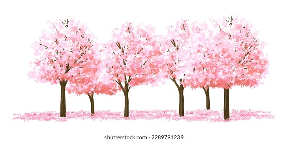 Vector watercolor blooming Sakura tree side view isolated on white background for landscape and architecture drawing, elements for environment and garden,botanical elements for section in spring 