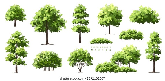 Vector watercolor of blooming tree side view isolated on white background for landscape plan and architecture drawing, elements for environment and garden,botanical elements