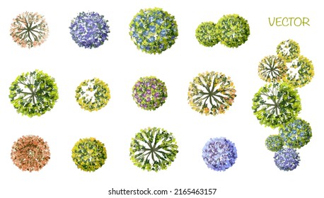 Vector watercolor of blooming tree top view isolated on white background for landscape plan and architecture drawing, elements for environment and garden,botanical elements
