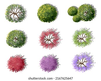 Vector watercolor of blooming tree top view isolated on white background for landscape plan and architecture drawing, elements for environment and garden,botanical elements 