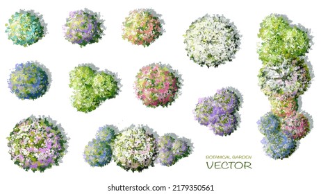 Vector watercolor of blooming tree top view isolated on white background for landscape plan and architecture drawing, elements for environment and garden,botanical elements 