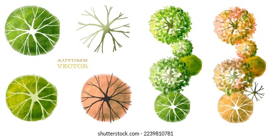 Vector watercolor of blooming tree top view isolated on white background for landscape plan and architecture drawing, elements for environment and garden,botanical elements ,blooming flowers in autumn