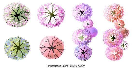 Vector watercolor of blooming tree top view isolated on white background for landscape plan and architecture drawing, elements for environment and garden,botanical elements ,blooming flowers in spring