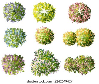 Vector watercolor of blooming tree top view isolated on white background for landscape plan and architecture drawing, elements for environment and garden,botanical elements ,blooming flowers in autumn