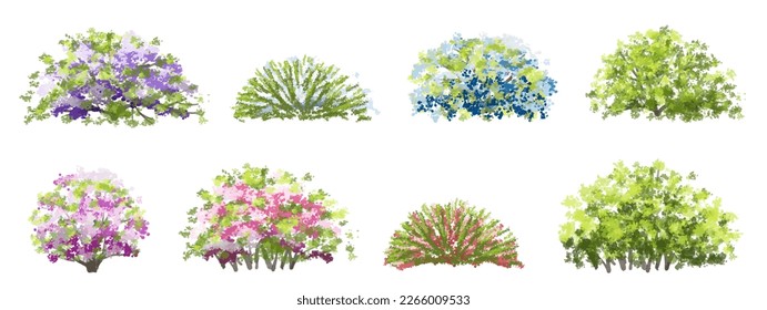 Vector watercolor of blooming tree top view isolated on white background for landscape plan and architecture drawing, elements for environment and garden,botanical elements ,blooming flowers in spring