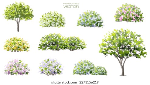 Vector watercolor of blooming tree top view isolated on white background for landscape plan and architecture drawing, elements for environment and garden,botanical elements ,blooming flowers in spring