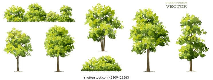 Acuarela vectorial de la vista floreciente en la parte superior del árbol aislada en el fondo blanco para el plano del paisaje y la arquitectura, elementos para el medio ambiente y el jardín, elementos botánicos, flores florecientes en primavera