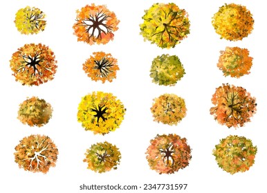 Vector watercolor of blooming tree top view isolated on white background for landscape plan and architecture drawing, elements for environment and garden,botanical elements ,blooming flowers in autumn