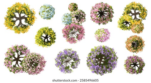Vector watercolor of blooming tree top view isolated on white background for landscape plan and architecture drawing, elements for environment and garden,botanical elements ,blooming flower in spring