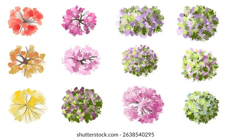 Vector watercolor of blooming tree top view isolated on white background for landscape plan and architecture drawing, elements for environment and garden,botanical elements ,blooming flower in spring