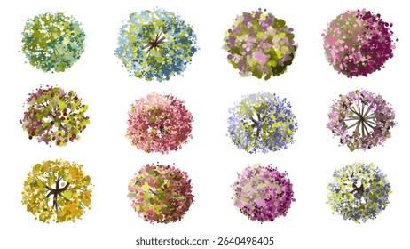Vector watercolor of blooming tree top view isolated on white background for landscape plan and architecture drawing, elements for environment and garden,botanical elements ,blooming flower in spring
