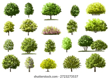 Aquarela vetorial de árvore florida vista superior isolada no fundo branco para o plano de paisagem e desenho de arquitetura, elementos para o ambiente e jardim, elementos botânicos, flor floração na primavera