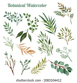 Vector Of Watercolor Botanical Elements Leaves Set.  Isolated Greenery For Wedding Invitation, Baby Shower, Birthday Cards Diy, Textile, Wrapping Paper, Nature Clip Art With Forest Greenery.
